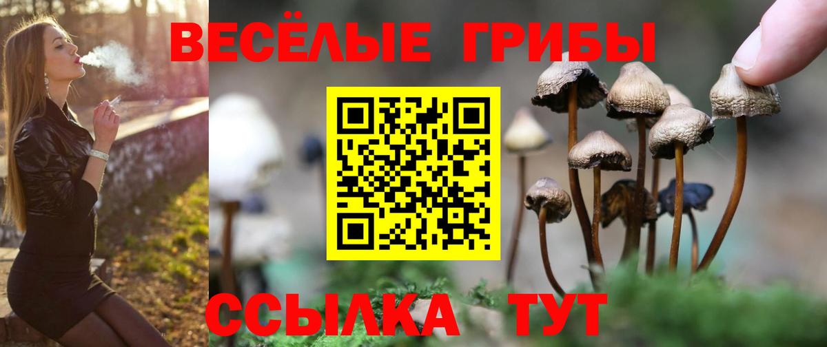 Соликамск  Галлюциногенные грибы GOLDEN TEACHER  Вход с VPN  Псилоцибиновые грибы прущие грибы 